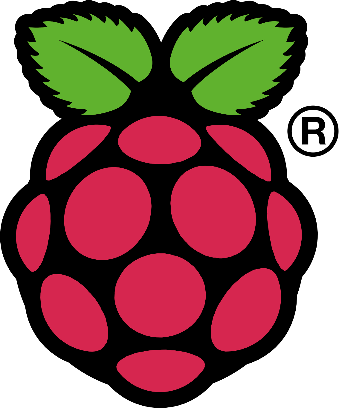 Honeypot pro domácí použití: Raspberry Pi